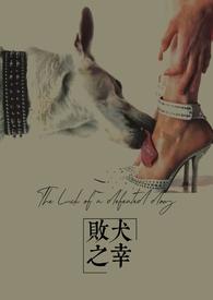 败犬电影