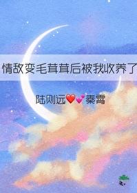 情敌变成了我的猫txt