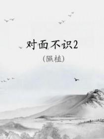 对面不识观世音