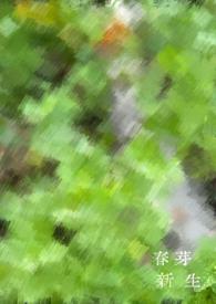 新芽创始人