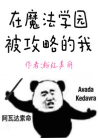 在魔法学院任教的日子