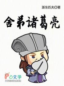 诸葛亮的得意弟子是谁
