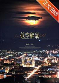 低空醉氧笔趣阁