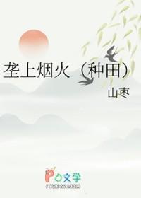 垄上行简介