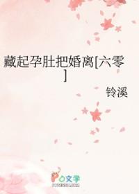 藏起孕肚把婚离[六零