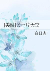 另一片天空韩少功