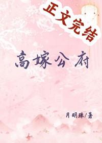 高嫁公府月明珠百度