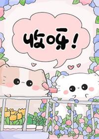 变成猫之后我终于红了txt