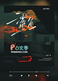 鲨鱼裤