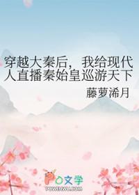 穿越大秦辅佐秦始皇