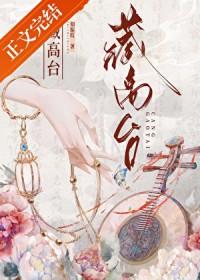 藏高台txt