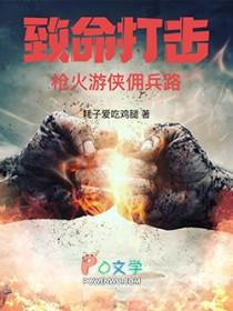 致命打击枪火游侠佣兵路篱笆好文学