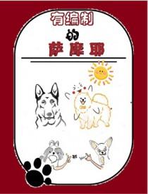 萨摩耶犬有几种