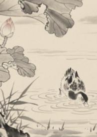 全京城都在等我出续集免费观看最新