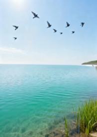 归去来兮GB芝坞