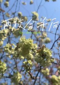 两个学校合并的说明