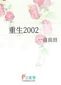 重生2002之财富人生