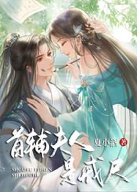 首辅夫人是戒尺TXT