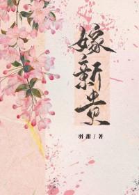 嫁新贵羽甜番外txt百度