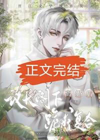 和联邦议长结婚后的