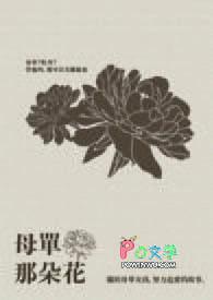 单朵花图片大全