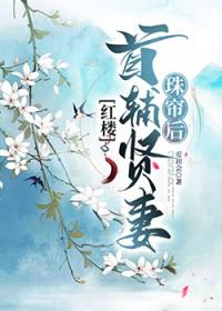 首辅攻略指南 瞰雾