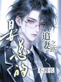 书名 晏总追妻娶一赠二