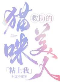 救猫咪合集