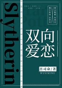 双向txt