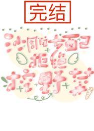 女配沙雕爽文