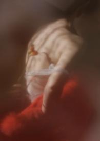 狐狸软萌道长