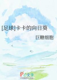 卡卡足球风格