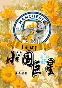 小国家足球强国