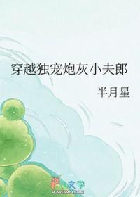 穿越之独宠小夫郎 作者岳杨