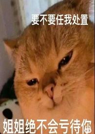 论女a与哨向的兼容性(NPH)最新章节列表