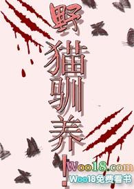 野猫驯养手则 四野深深