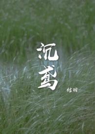 沉鸢by结因