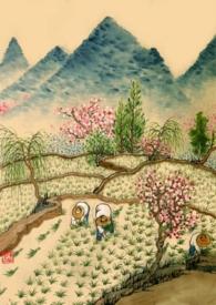 重生年代文的路人甲完结了吗
