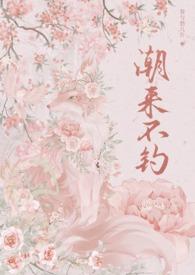 潮来又潮往是什么意思
