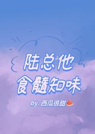 陆总他食髓知味未删减资源